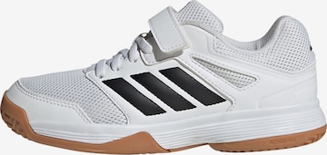 ADIDAS PERFORMANCE Sports shoe 'Speedcourt' in White: front