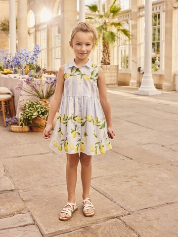 Next Jurk in Blauw: voorkant