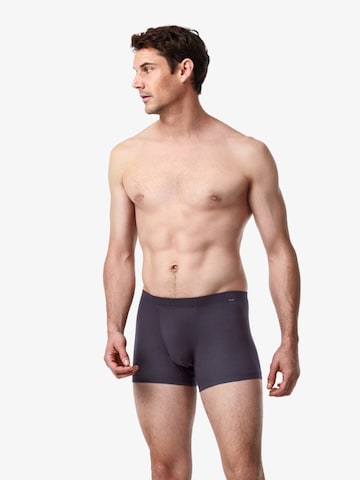 Blackspade Boxershorts in Grijs: voorkant