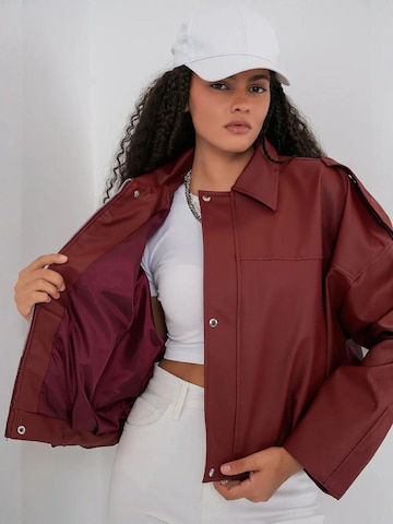 Veste d’hiver 'Jacken' Bigdart en rouge