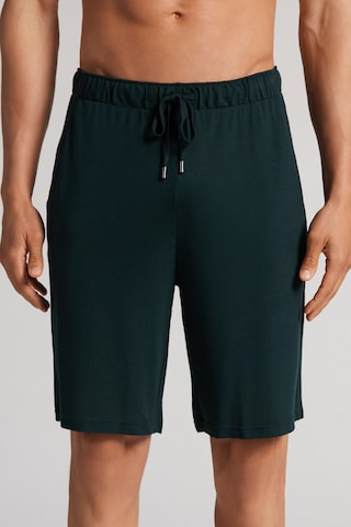 INTIMISSIMI Regular Pants in Green: front