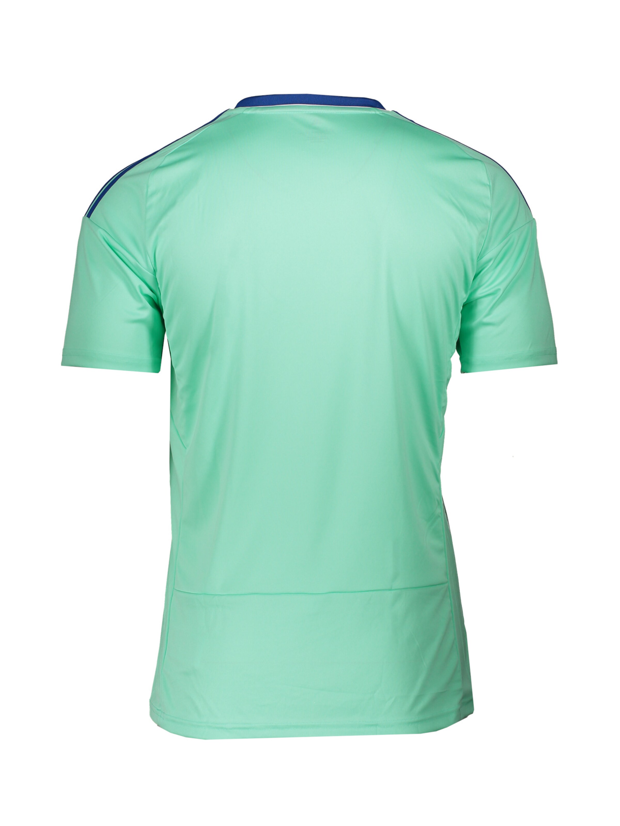 ADIDAS PERFORMANCE Funktionsshirt in Grün