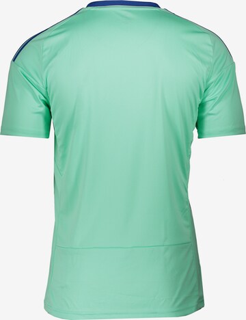 ADIDAS PERFORMANCE Performance Shirt in Green