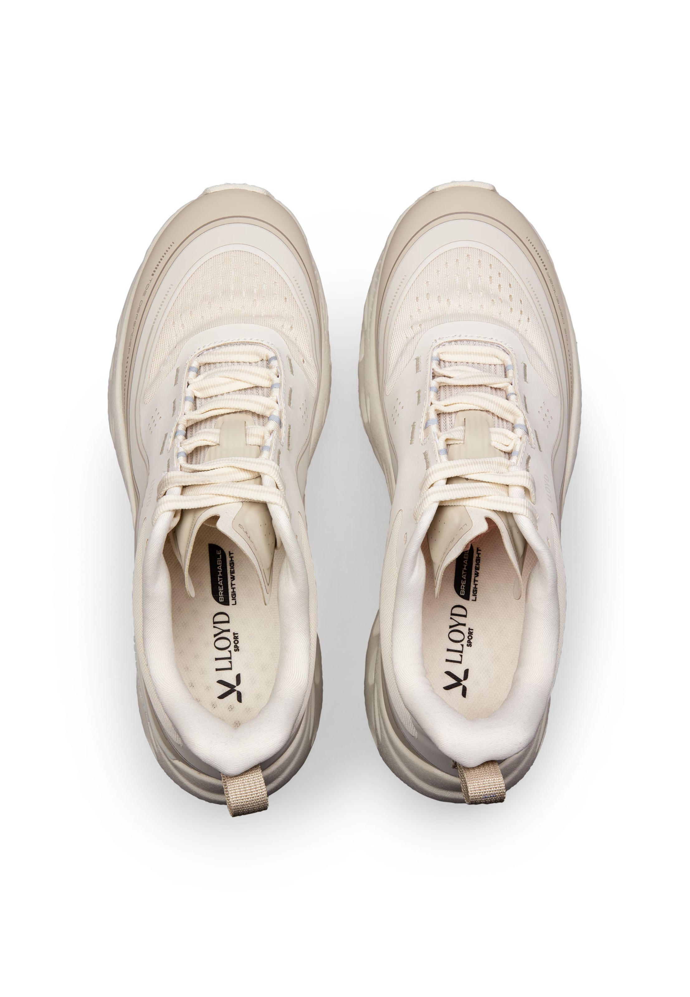 Baskets basses 'DASH X' LLOYD en beige