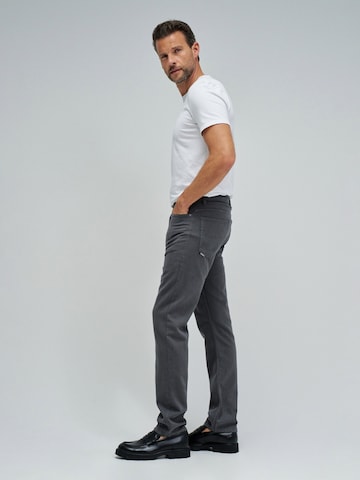 Salsa Jeans Regular Chino trousers in Grey