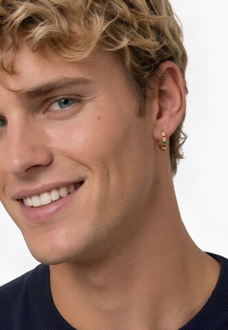 Boucles d'oreilles 'Orian' Heideman en or