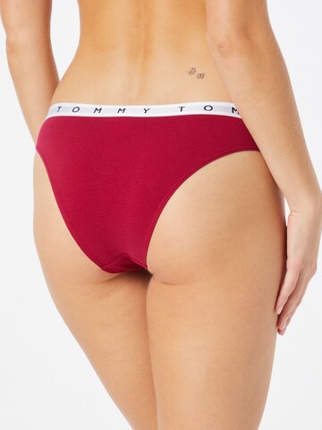 Tommy Hilfiger Underwear Panty in Mixed colors