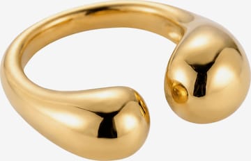 lePelou Ring 'ALUNA' in Gold: Vorderseite