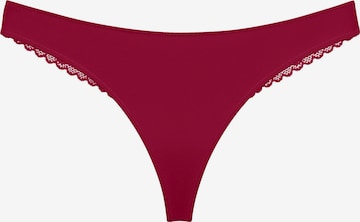 TRIUMPH String ' Red Label Pretty Modal ' in Red: front