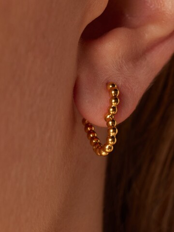 Lucardi Oorbellen in Goud