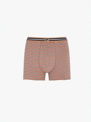 Penti Boxershorts 'PENTI Herren Boxer Ember gestreift'‌‌‌‌‌‌ in Braun