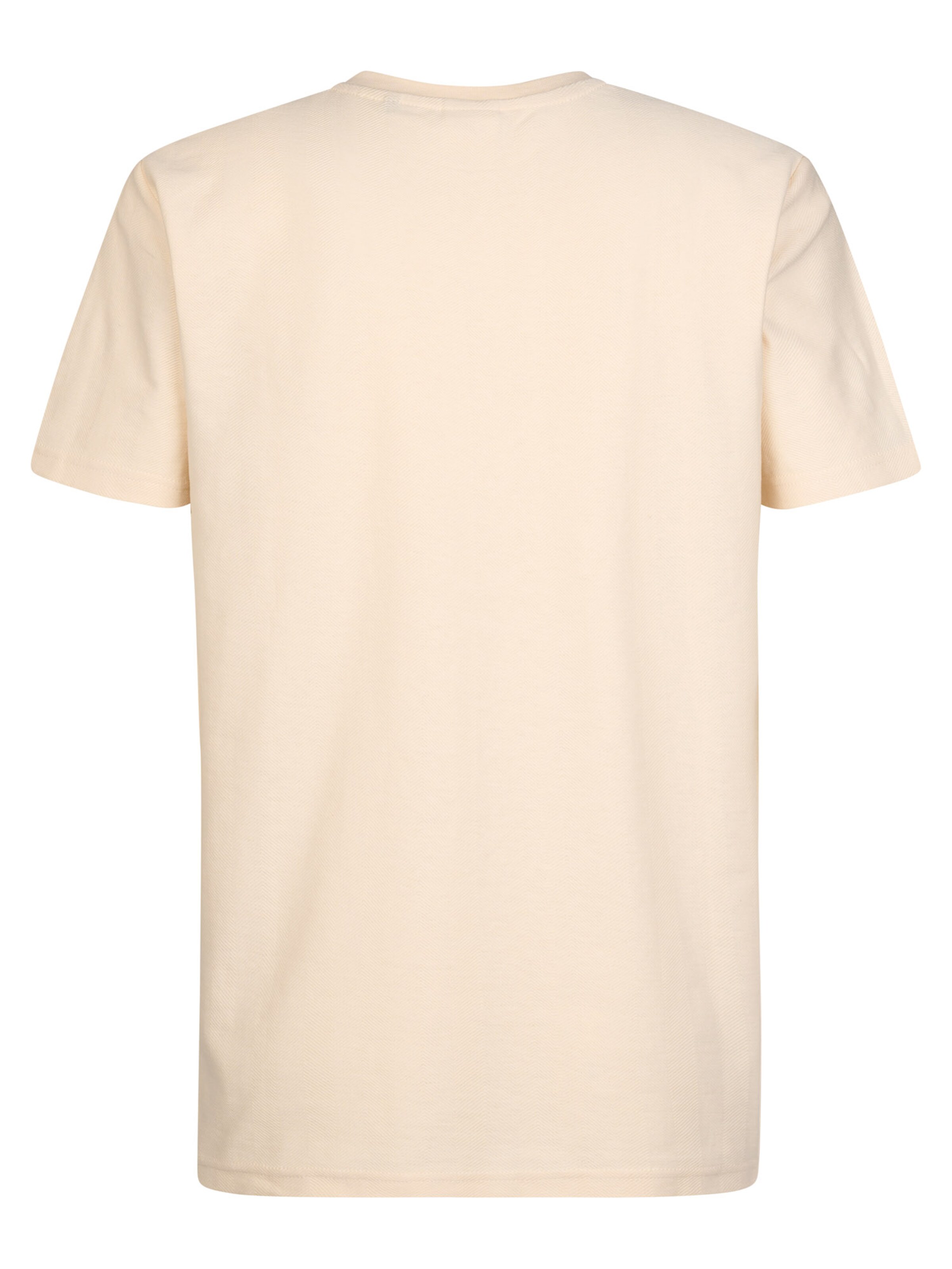 Petrol Industries Shirt in Beige