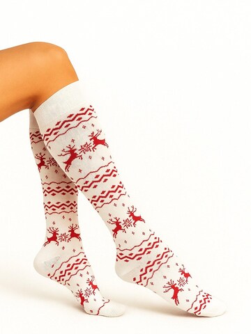 Lycille Kniestrümpfe in Beige: Vorderseite