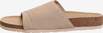 Ombre Pantolette in Beige: Vorderseite