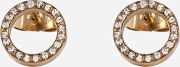 Jacques Lemans Earrings in Gold: front