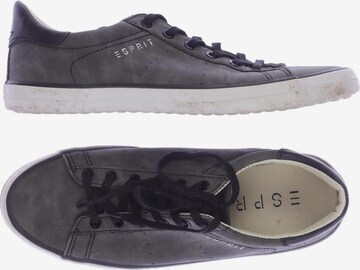 ESPRIT Sneaker 37 in Grau: predná strana