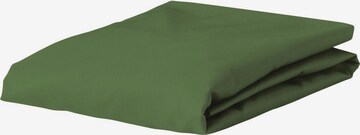 ESSENZA Bed Sheet 'Minte' in Green: front