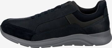 GEOX Sneaker 'Damiano' in Blau