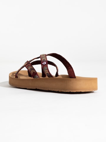 Tongs 'Hanna' Minnetonka en marron