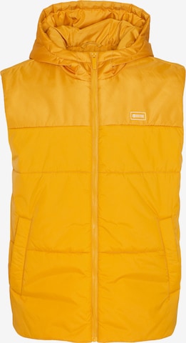 BIG STAR Vest 'Dibor' in Yellow: front