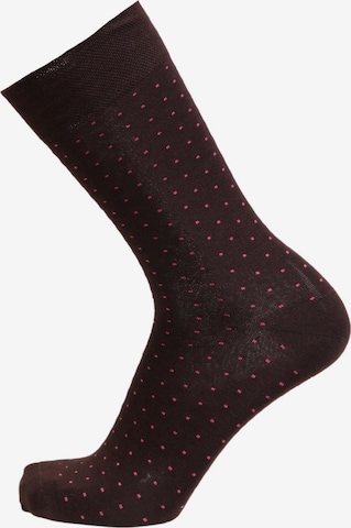 Chaussettes ''MARCO bright blue viscose polka dot socks'' Sokisahtel en marron : devant