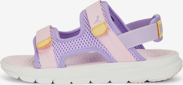 Chaussures ouvertes 'Evolve' PUMA en violet : devant