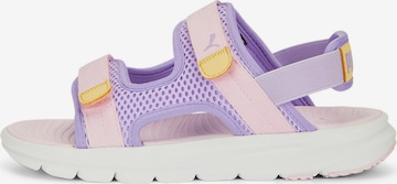 PUMA Sandals & Slippers 'Evolve' in Purple: front