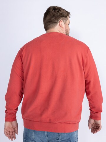 Petrol Industries Sweatshirt 'Journey' in Rot