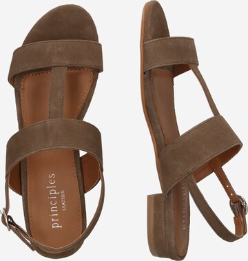 Dorothy Perkins Sandalen met riem 'Bronya' in Groen