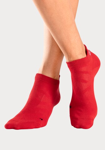 BENCH Athletic Socks in Red
