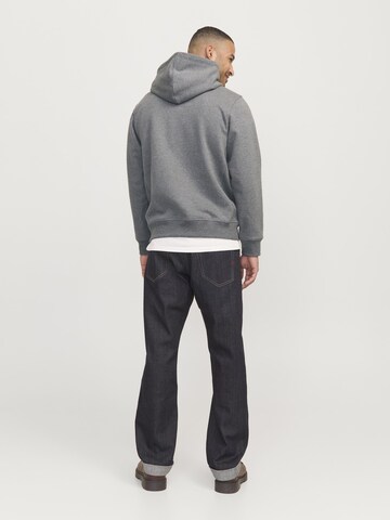 Felpa 'RDDKALID' di R.D.D. ROYAL DENIM DIVISION in grigio