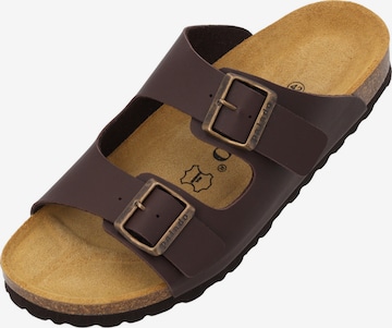 Palado Mule 'Palado Korfu Herren' in Brown: front