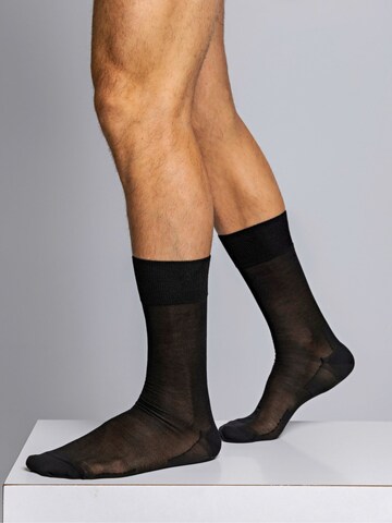 zd ZERO DEFECTS Socks 'Mercerized cotton socks' in Black: front