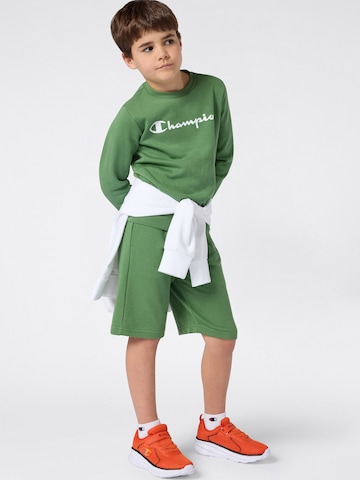 Champion Authentic Athletic Apparel Mikina – zelená