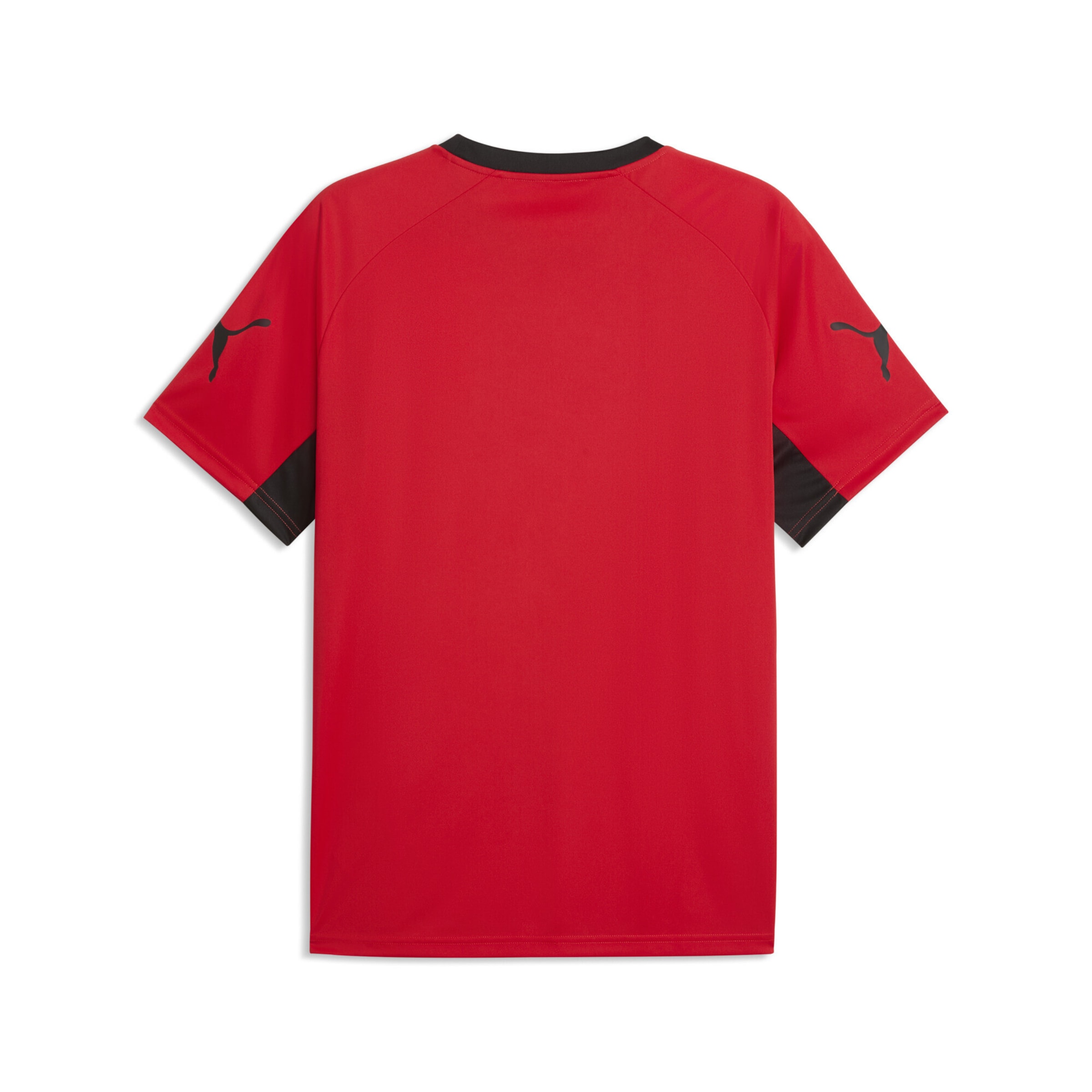PUMA Jersey 'IndividualLiga' in Red