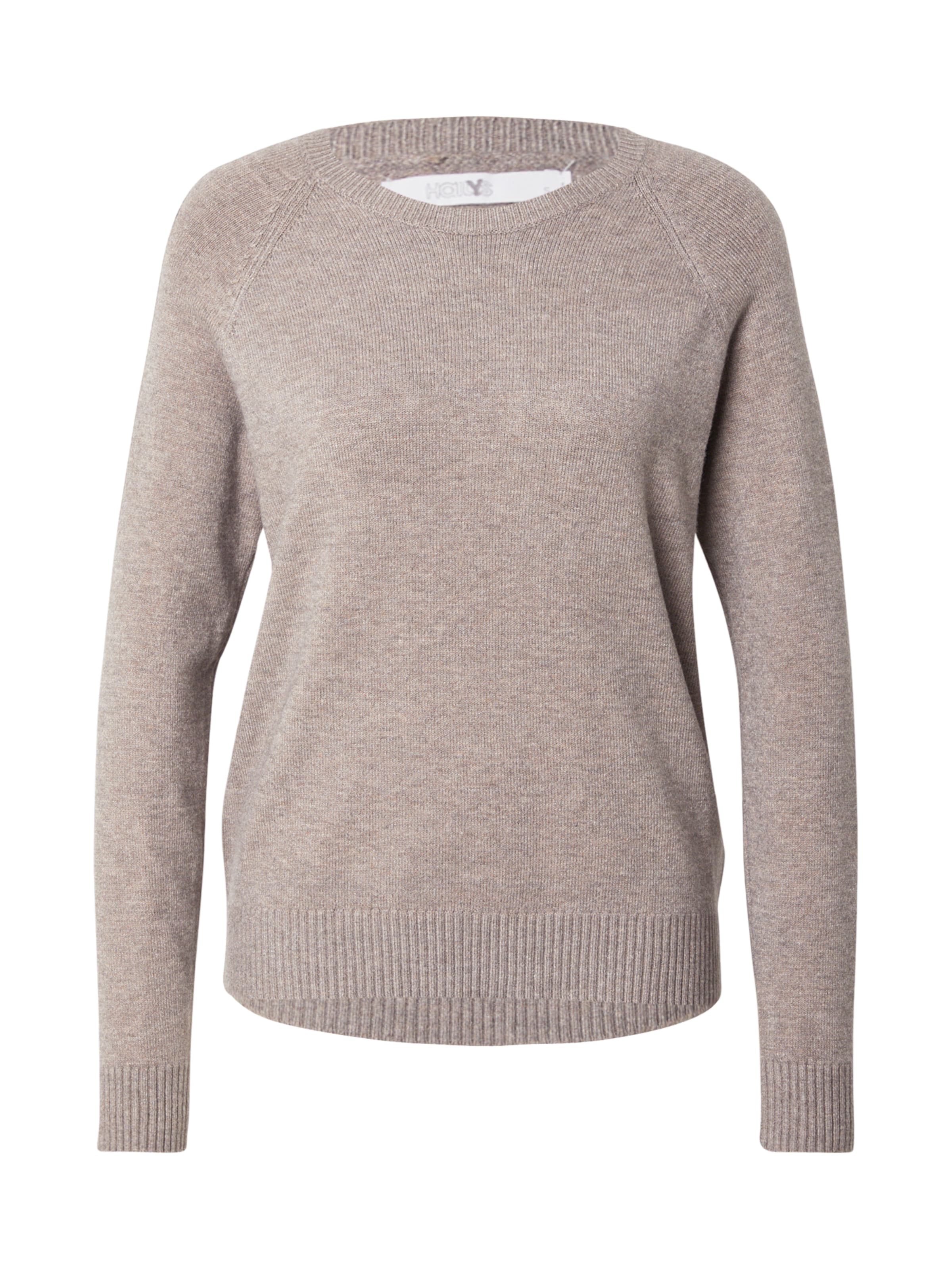 Hailys Sweater 'As44ra' in Grey, Item view