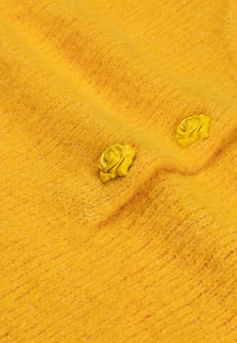 Fabienne Chapot Pullover in Gelb
