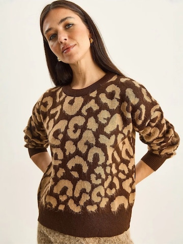 Pullover di Bianco Lucci in marrone: frontale