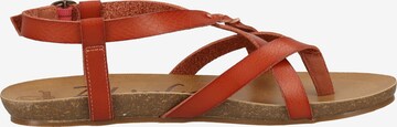 Blowfish Malibu T-Bar Sandals in Red