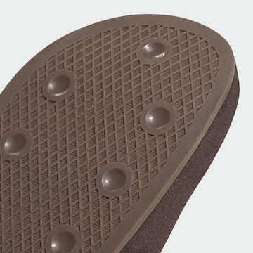 Mule 'Adilette' ADIDAS ORIGINALS en marron