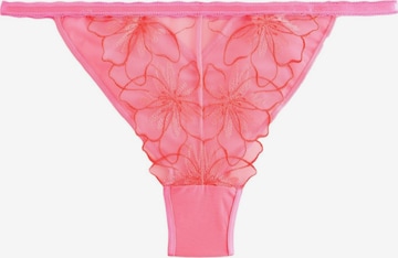 Next Стринги в Ярко-розовый: спереди