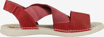 Softinos Sandals in Red