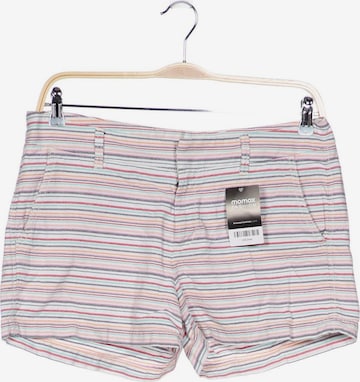 GAP Shorts in XXL in Mixed colors: front