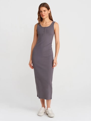 Robe Dilvin en gris : devant