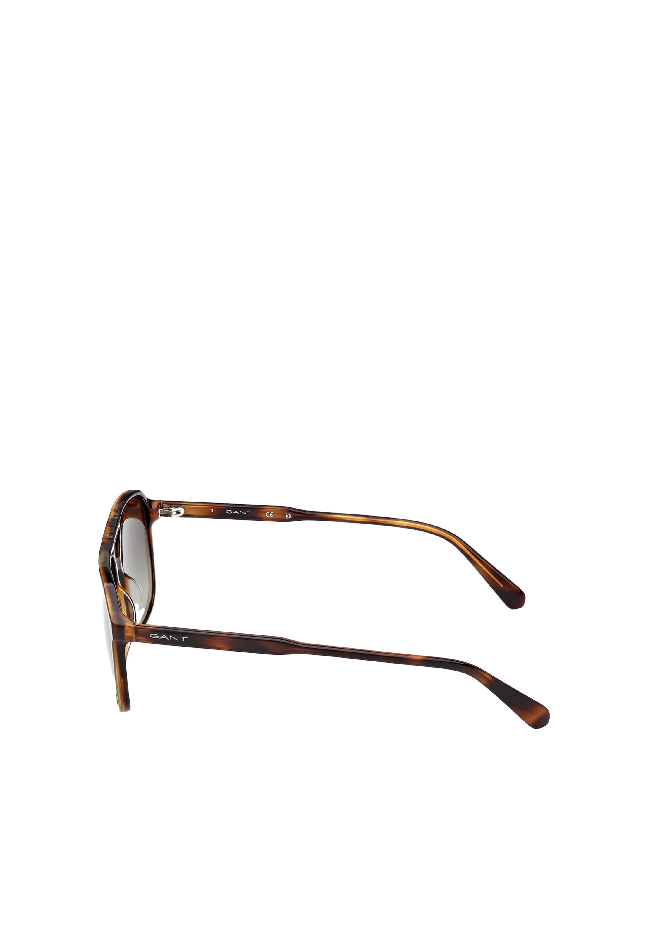 GANT Sunglasses in Brown