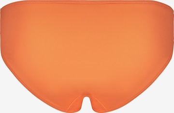 oranžinė Skiny Bikinio kelnaitės 'Rio'