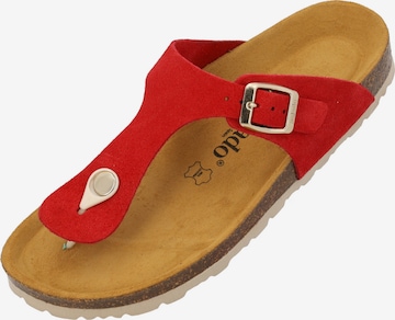 Palado Zehentrenner 'Palado Kos Suede Premium Leather' in Rot: Vorderseite