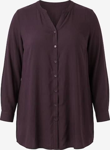 MIAMODA Blouse in Brown: front