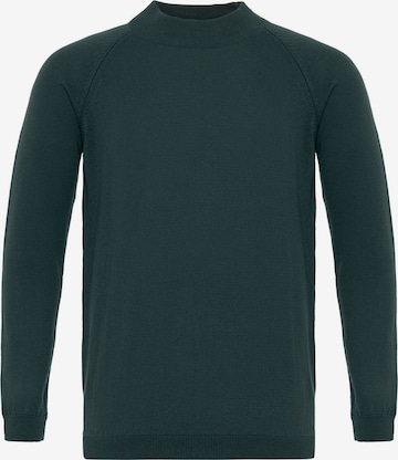 Dandalo Neulepaita värissä vihreä: etupuoli