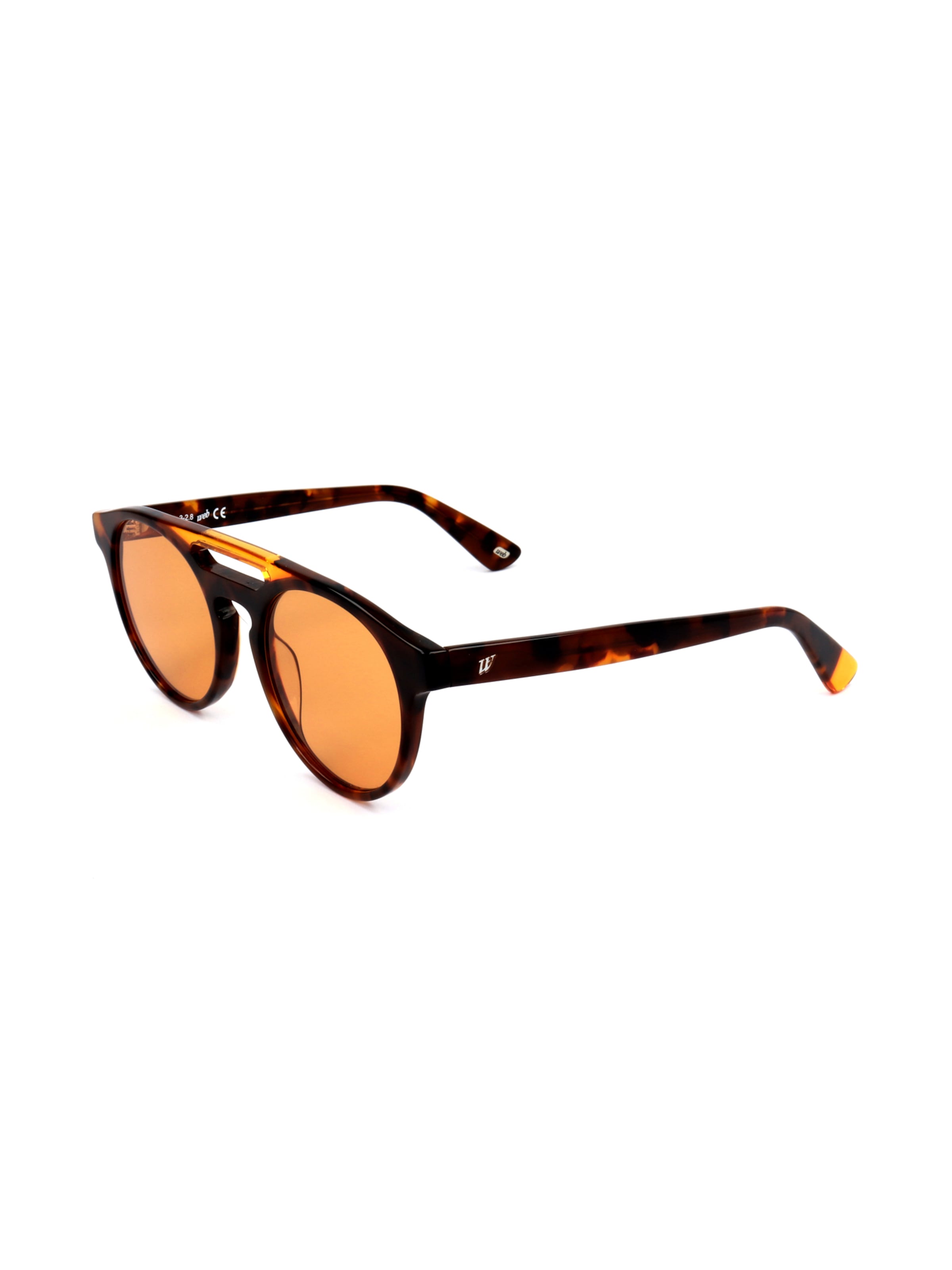 Occhiali da sole 'WE0262' di Web Eyewear in marrone: frontale